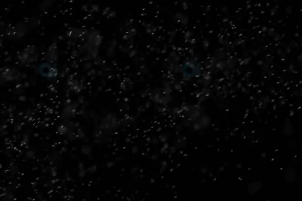 Soft Snow Flurry in Darkness – Atmospheric Winter Particles