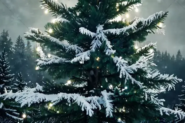 Snow-Covered Christmas Tree with Festive Lights in Winter Forest