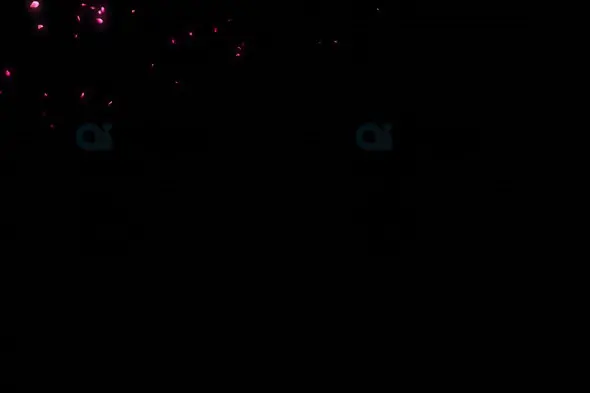 Pink Rose Petals on Dark Background - Elegant Abstract Motion