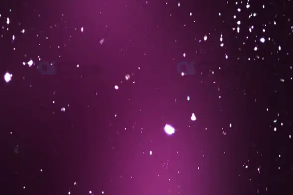 Dreamy Purple Light Particles Background