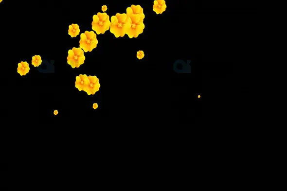 Yellow Flower Cluster Overlay on Black Background