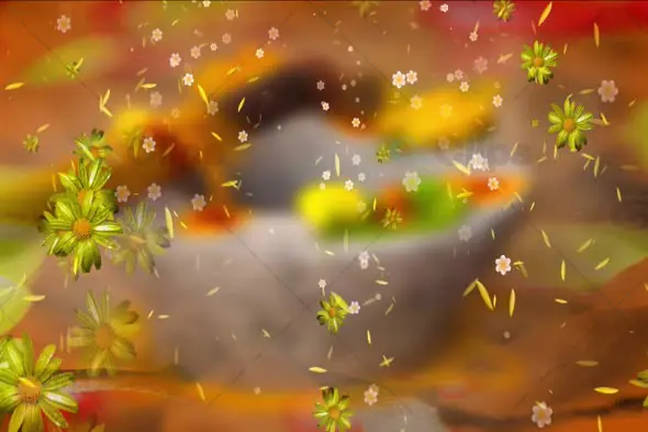 Traditional Ritual Offering with Floating Flowers Animation