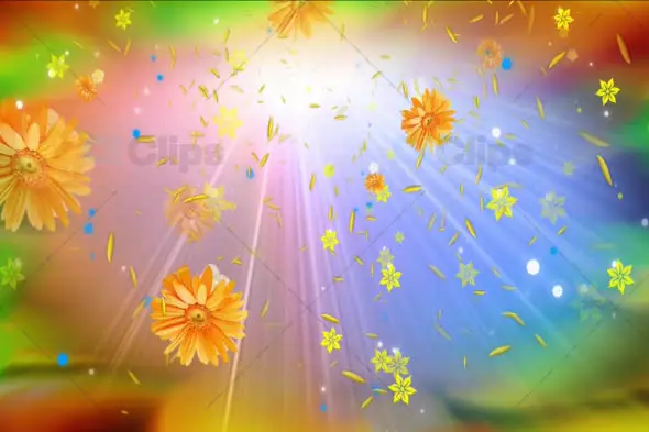 Radiant Starry Floral Celebration Background