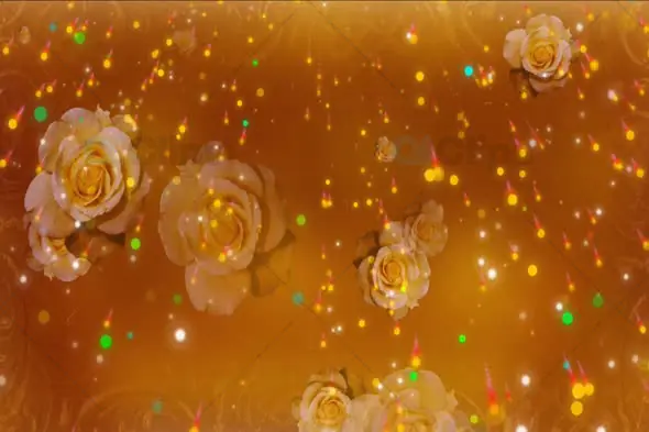 Golden Rose Petal Shower with Festive Sparkles Background