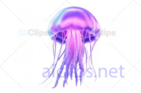 Vibrant 3D Jellyfish Illustration