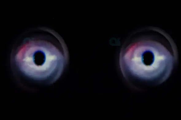 Glowing Eyes in the Dark - Mysterious Horror Animation