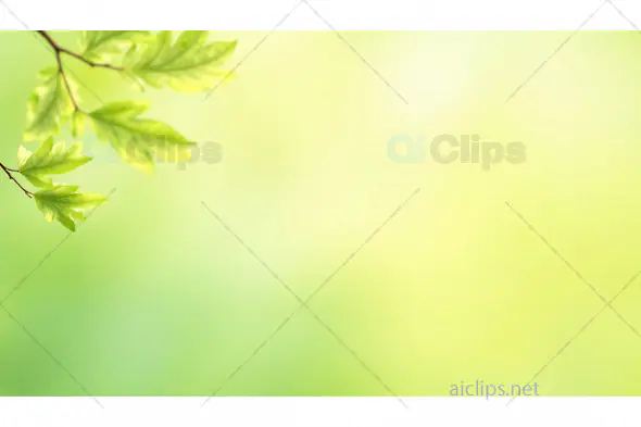 Soft Green Leaves with Gradient Background – Peaceful Nature Design