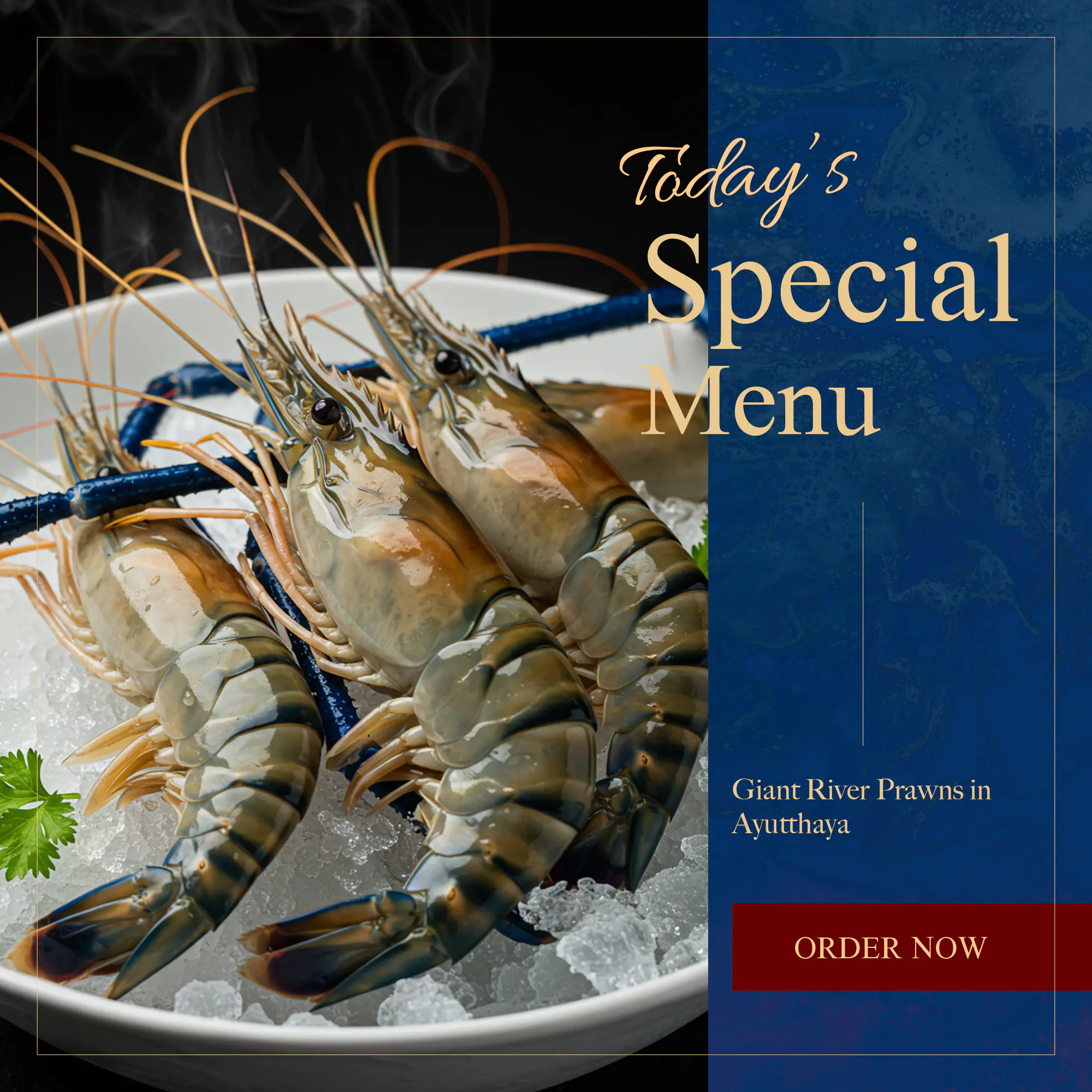 Gourmet Prawn Special Menu Template