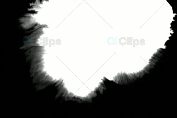 Expanding White Ink on Black Background