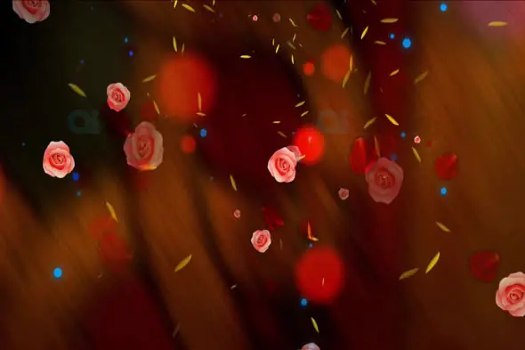 Romantic Floating Roses and Petals with Warm Bokeh Lights Animation