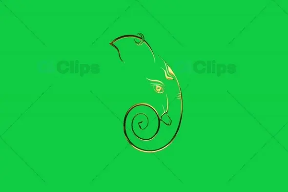 Spiral Ganesha Face Outline Animation on Green Screen