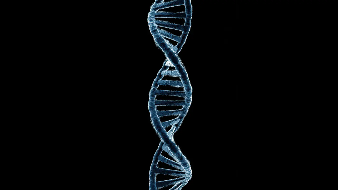Close-Up 3D Illustration of DNA Double Helix on Black Background