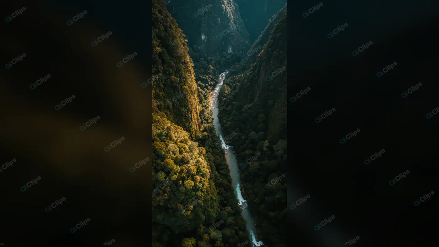 Aerial View of River Flowing Through Lush Green Canyon