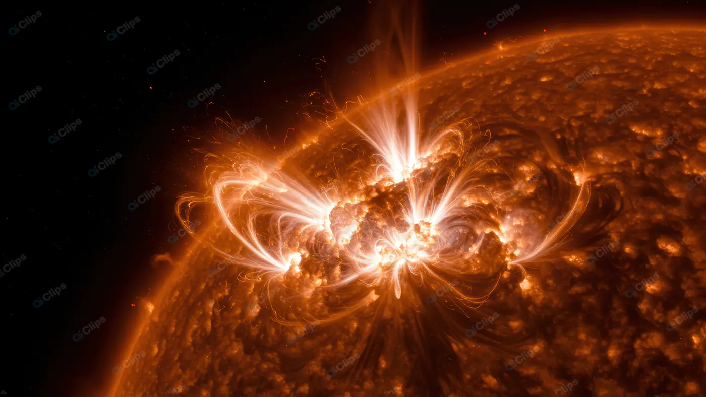 Massive Solar Flare Eruption with Magnetic Loops