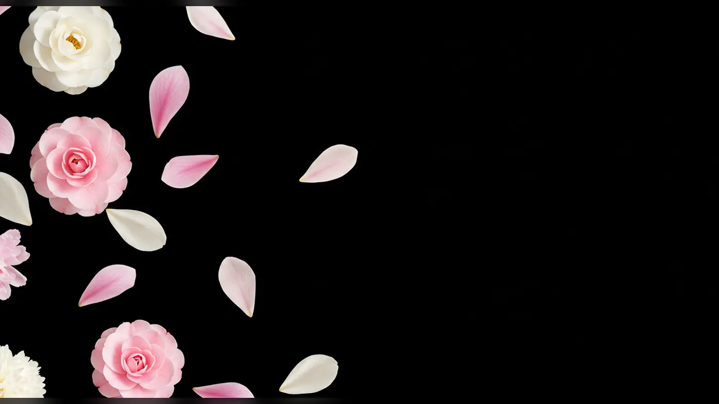 Elegant Floating Flowers and Petals on Black Background