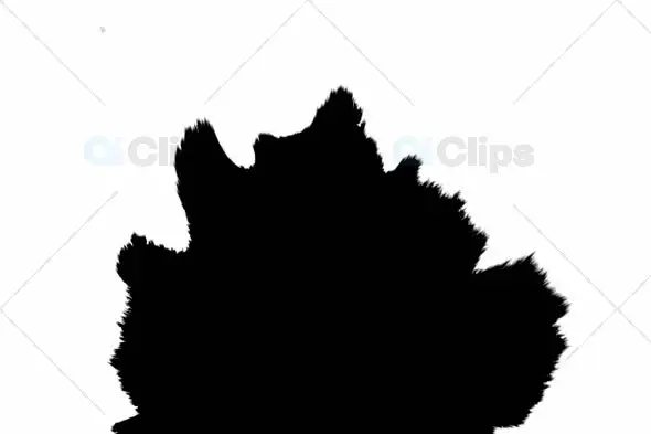 Dynamic Ink Bloom Animation on White Background