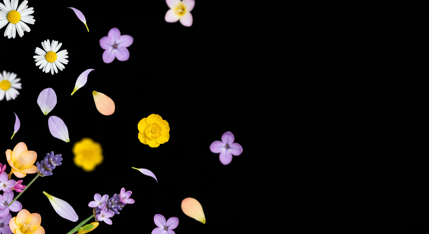 Vibrant Wildflowers and Scattered Petals on Black Background