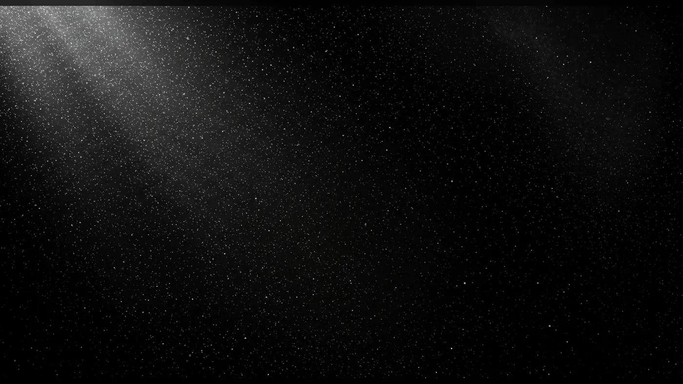 Floating Dust Particles in Ray Light