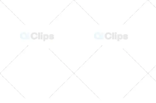 Minimal White Light Streaks Animation