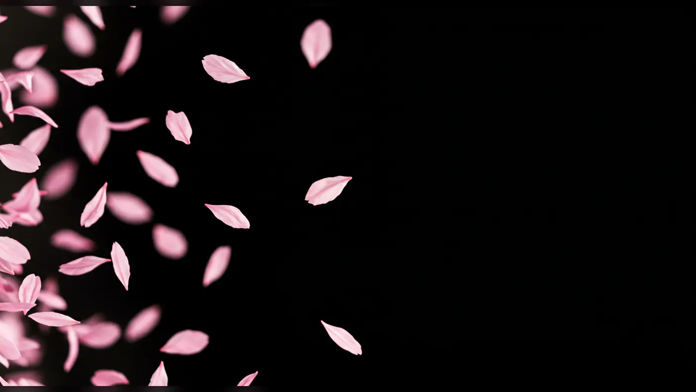 Pink Petals Flowing Across Black Background