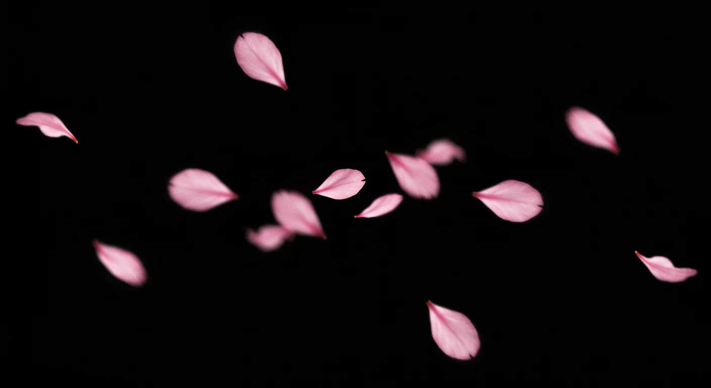 Soft Pink Flower Petals Gently Floating on Dark Background