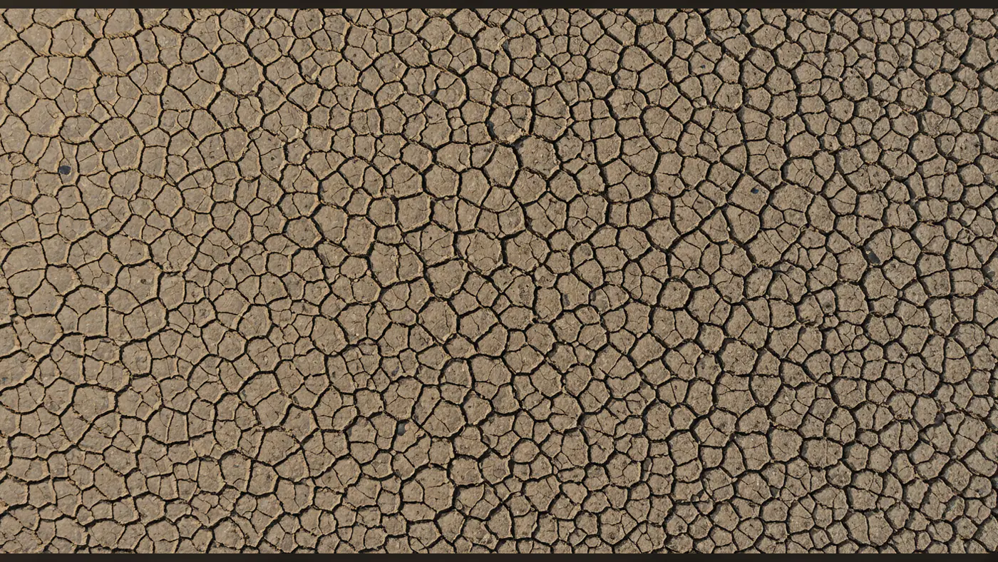 High-Resolution Dry Soil Pattern Cracked Earth Texture