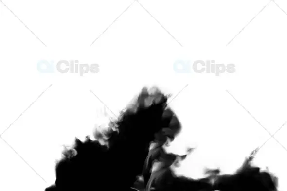 Black Smoke Swirl on White Background