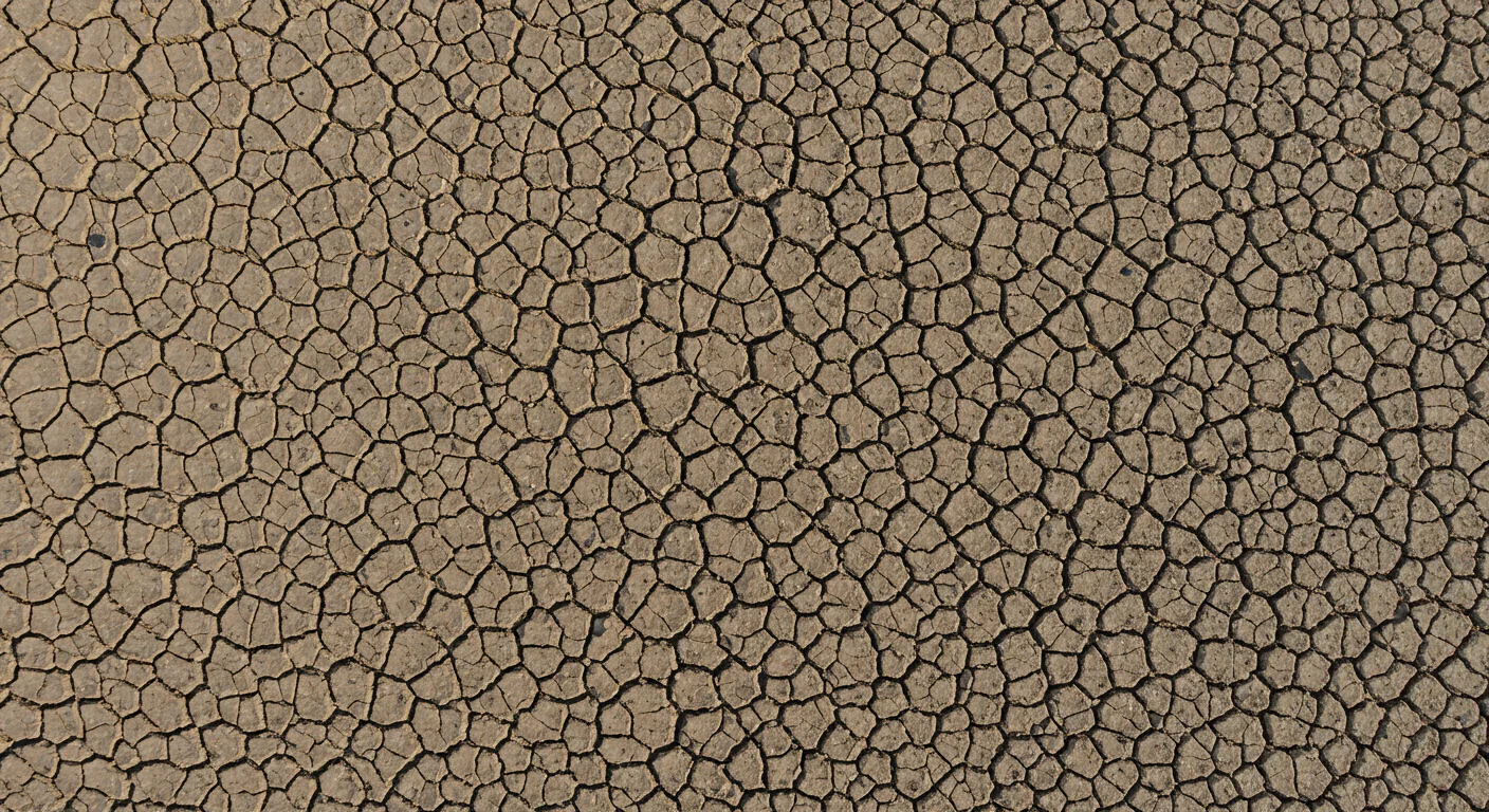 High-Resolution Dry Soil Pattern Cracked Earth Texture
