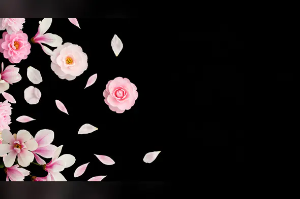 Elegant Pink Flowers and Petals Falling on Black Background