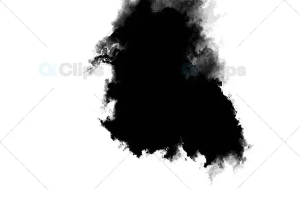 Abstract Ink Flow on White Background - Artistic Motion Graphic