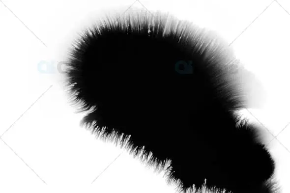 Expanding Ink Drop on White Background - Abstract Motion Graphic