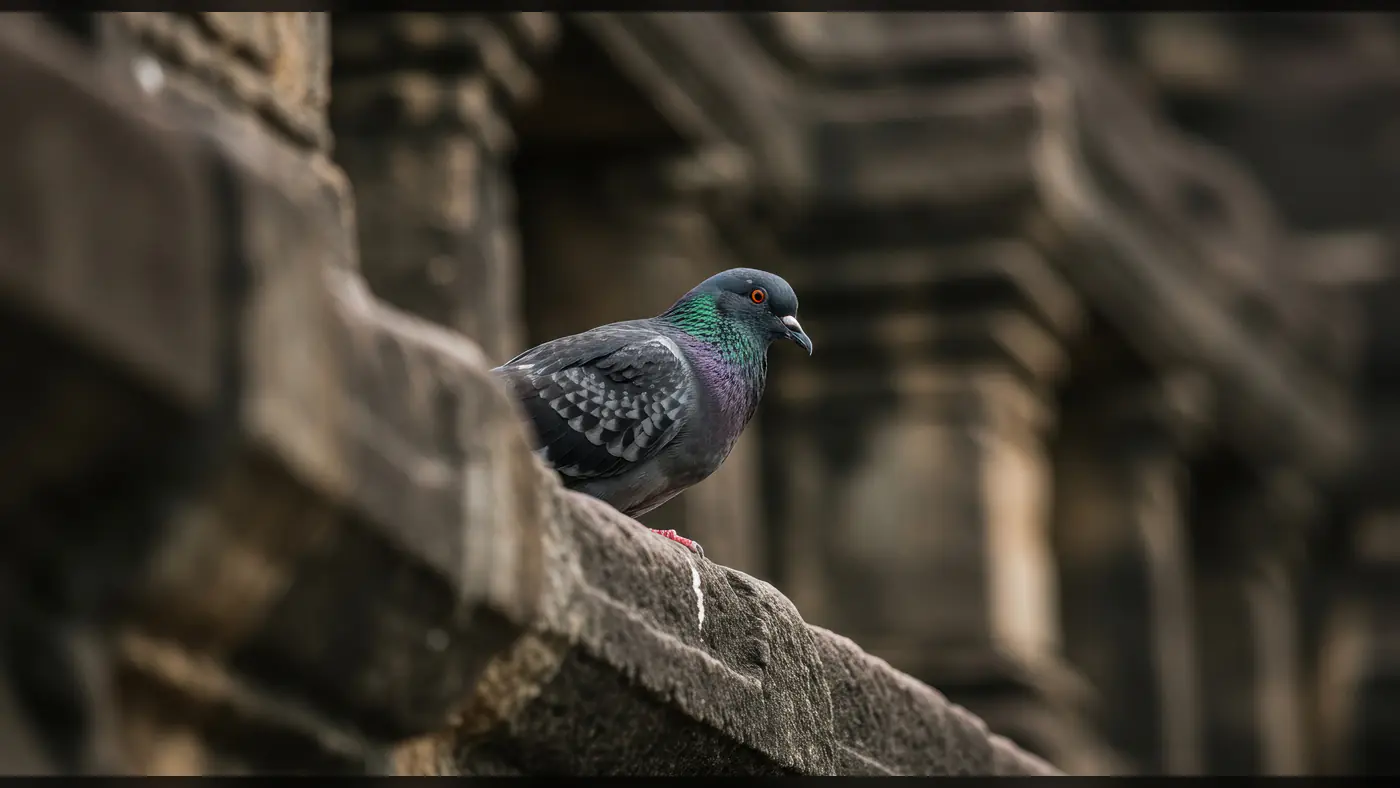 Pigeon on Ancient Indian Stone Railing at Heritage Monument