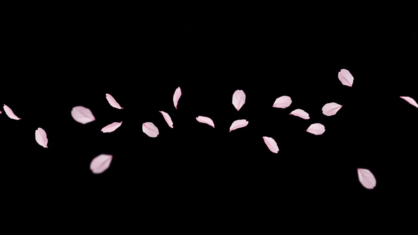 Minimal Pink Petals Drifting on Black Background