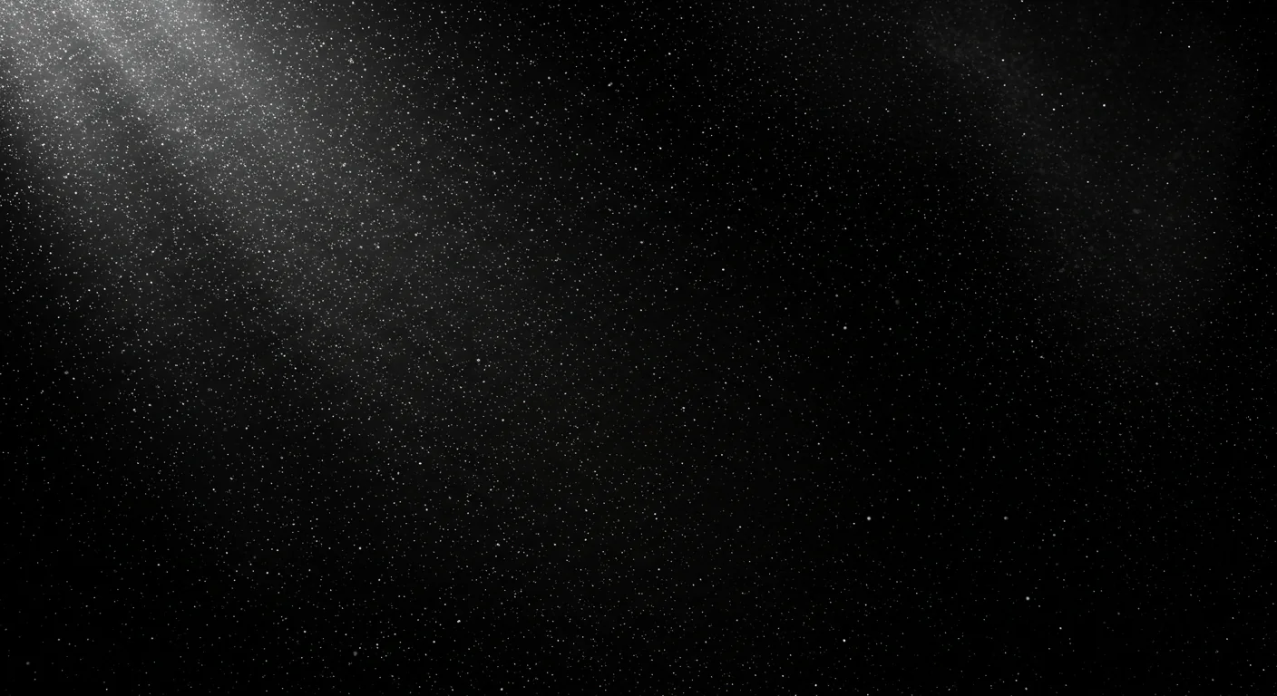 Floating Dust Particles in Ray Light