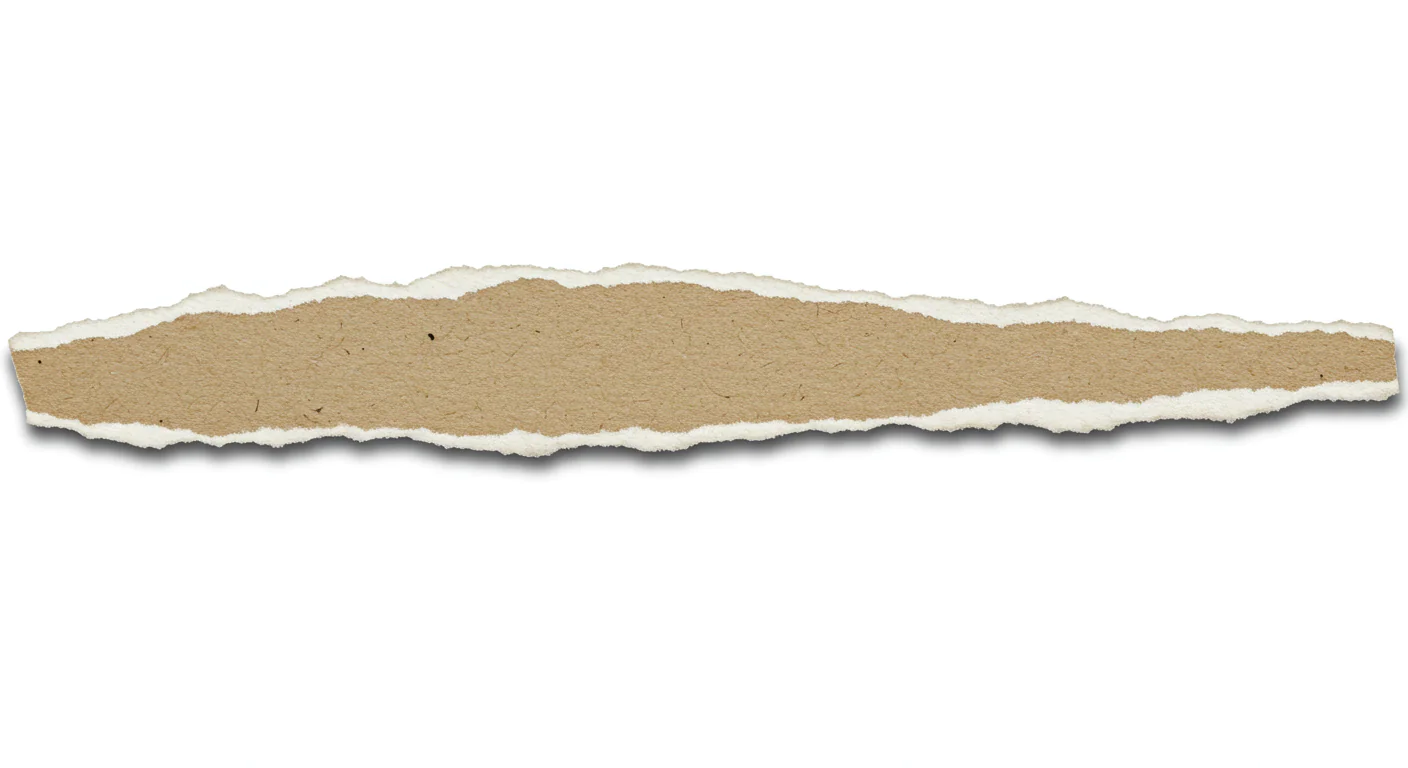 Organic Torn Paper Strip Texture for Creative Projects