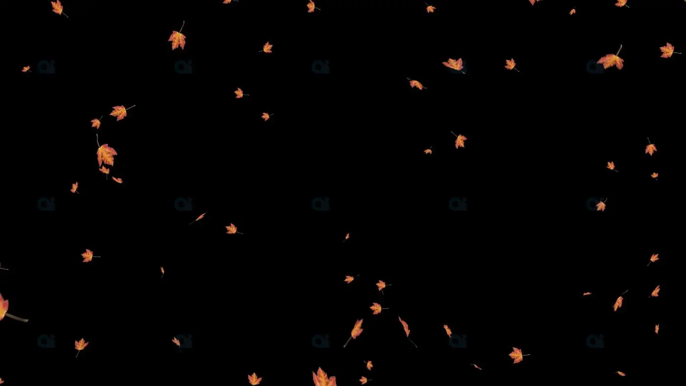 Falling Items Animation Falling Autumn Leaves Animation Background | AIClips