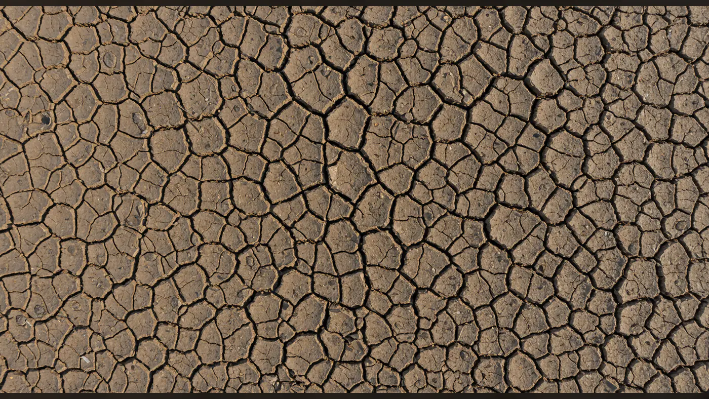 Realistic Cracked Soil Texture Background