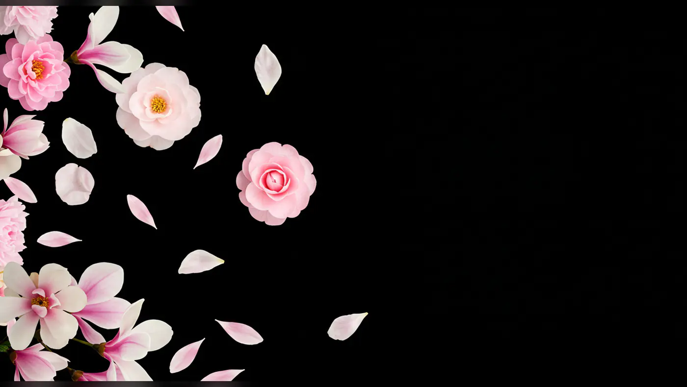 Elegant Pink Flowers and Petals Falling on Black Background