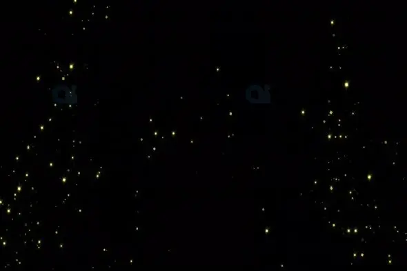 Golden Sparkling Particles Animation