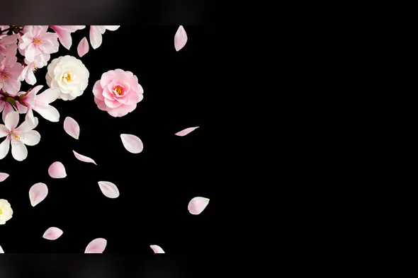 Romantic Pink and White Flowers with Floating Petals on Black Background