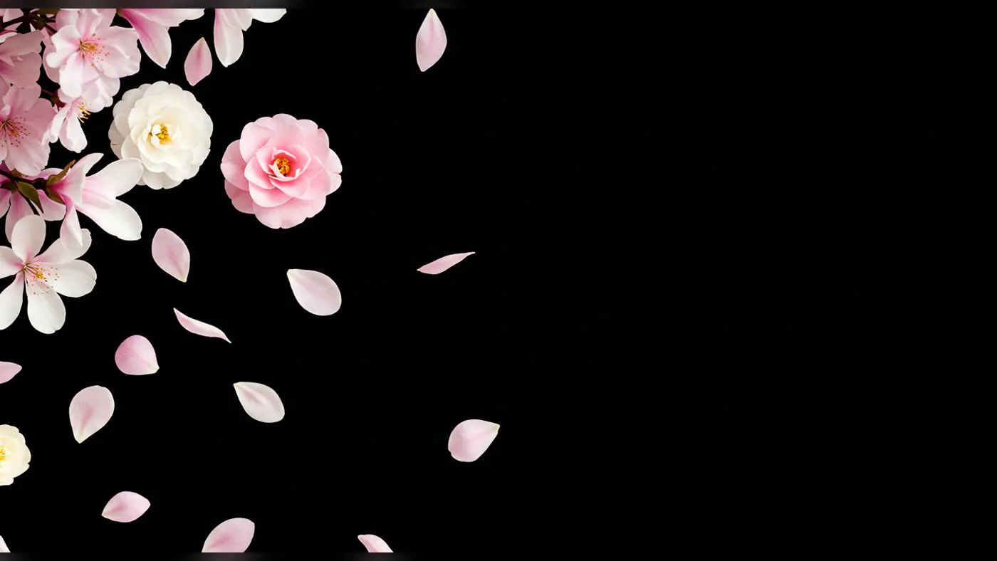 Romantic Pink and White Flowers with Floating Petals on Black Background