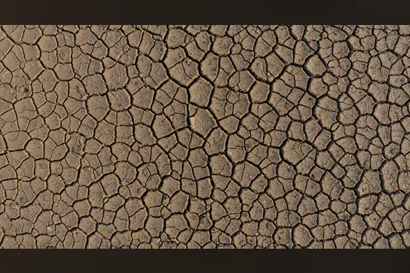 Realistic Cracked Soil Texture Background