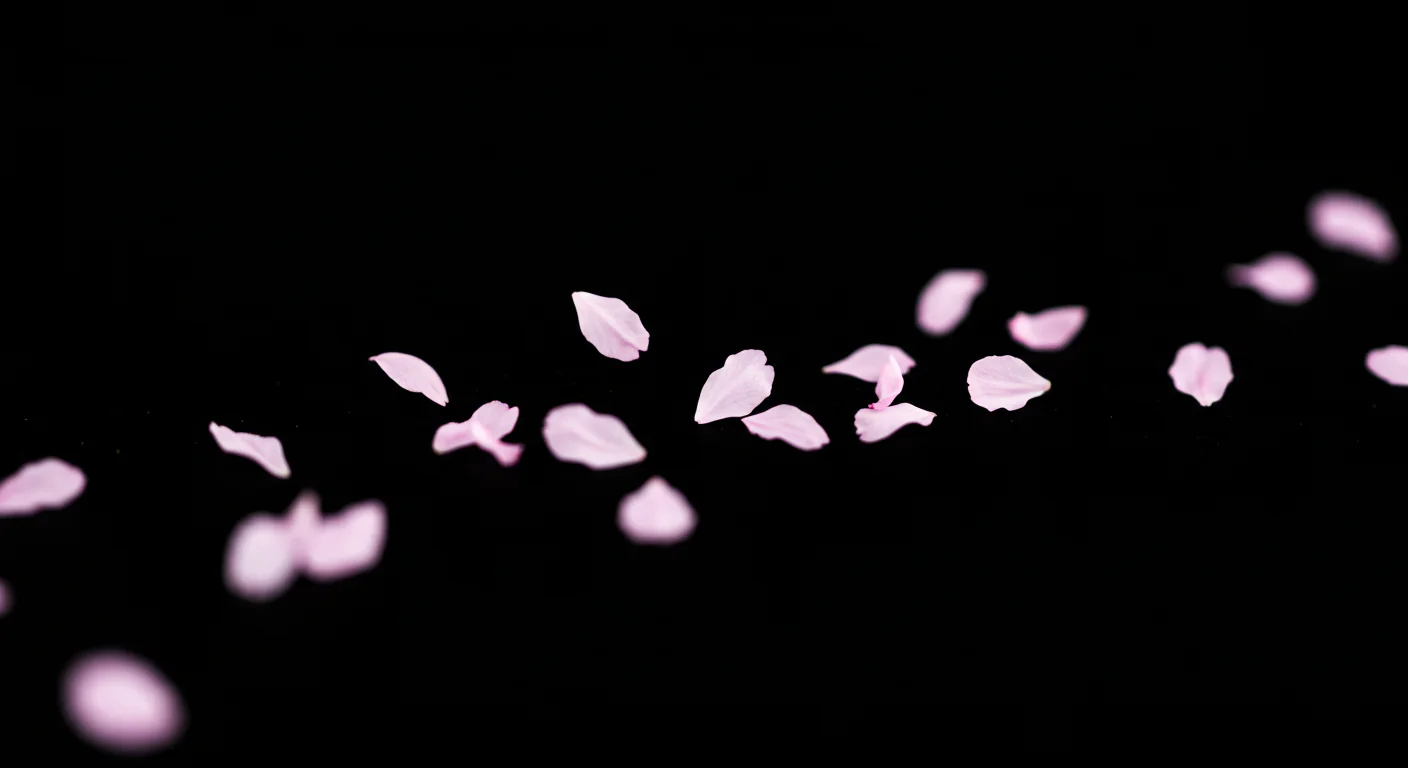 Delicate Pink Flower Petals Scattered on Black Background