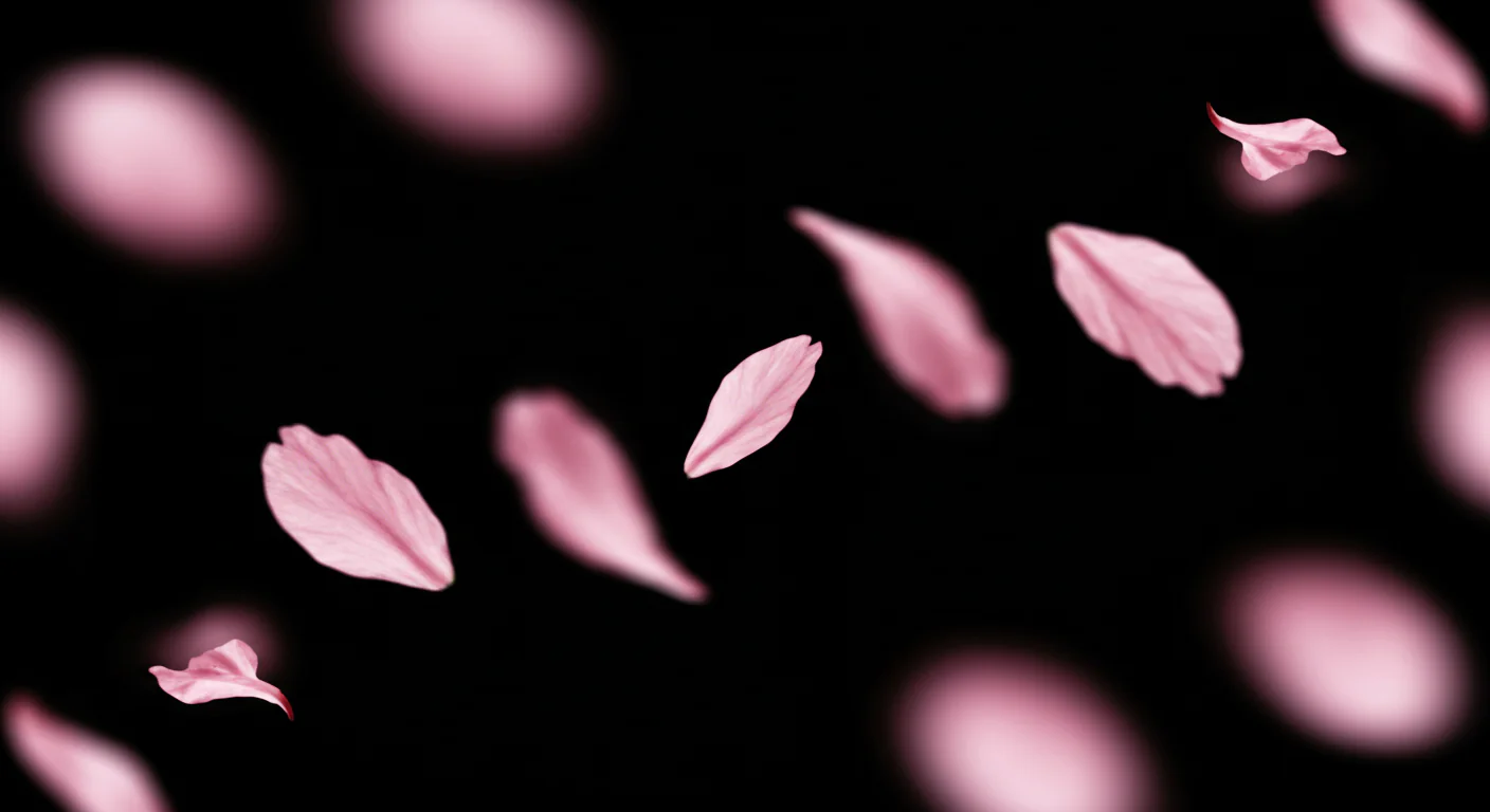Romantic Pink Flower Petals Floating on Black Background