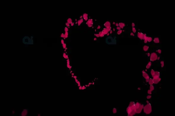 Romantic 3D Heart Made of Falling Petals