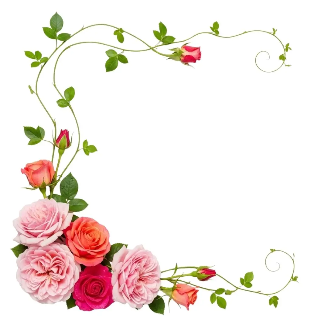 Lush Pink Rose Floral Vine Corner Frame PNG