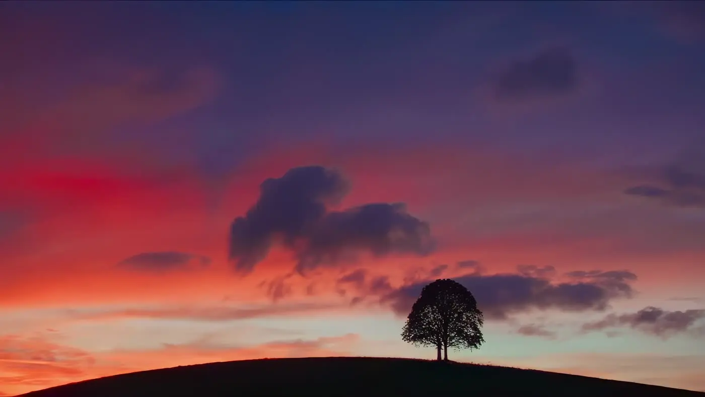 Solitary Tree Silhouette Against Dramatic Sunset Sky | AIClips