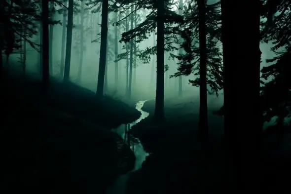 Misty Forest Stream in Ethereal Teal Twilight
