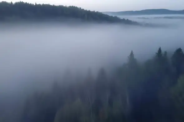 Misty Mountain Forest Landscape with Rolling Fog at Dawn