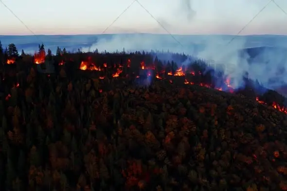 Forest Wildfire Spreading Across Mountain Ridge at Dusk